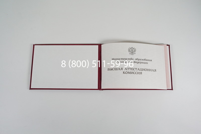 Диплом доктора наук 1995-2006 года в Рыбинске