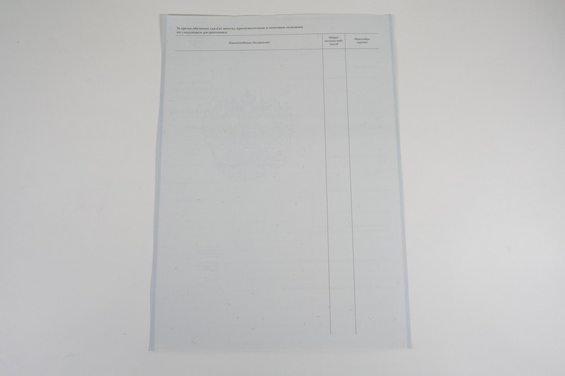 Диплом о начальном образовании 2007-2009 годов в Рыбинске Диплом о начальном образовании 2007-2009 годов в Рыбинске